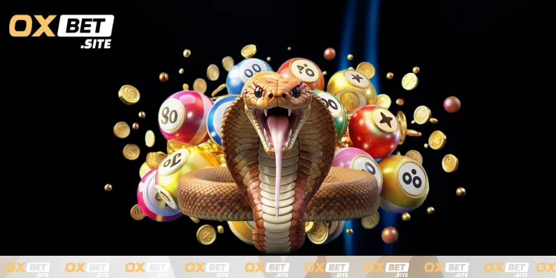 Giai-dap-mo-thay-ran-danh-so-gi-dua-tren-hanh-dong