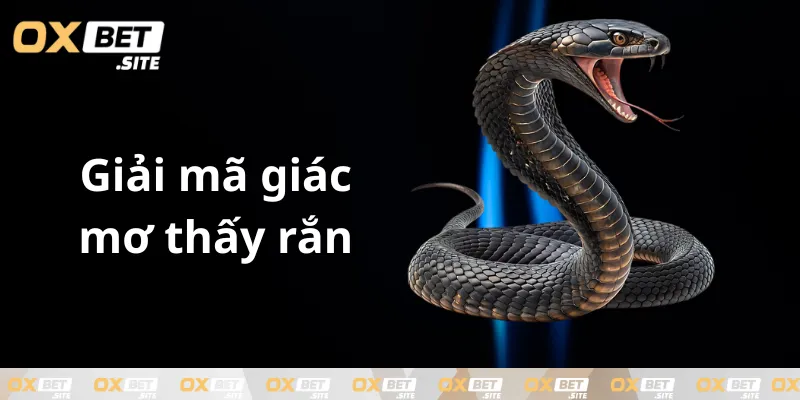 Mo-thay-ran-danh-so-gi