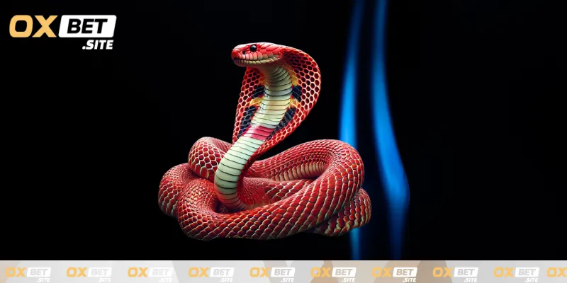 Tim-hieu-y-nghia-va-mo-thay-ran-danh-so-gi